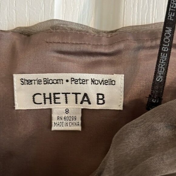 (EUC) 100% Silk Chetta B Off Shoulder Corset (Size 8) and Maxi Skirt (Size 6) - Picture 6 of 8